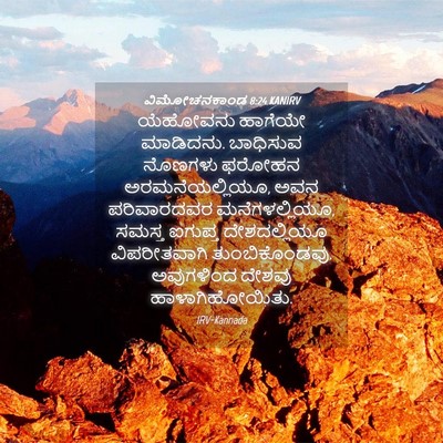 Picture 04 - ವಿಮೋಚನಕಾಂಡ 8:24 KANIRV - ಯೆಹೋವನು ಹಾಗೆಯೇ - Bible Verse Picture