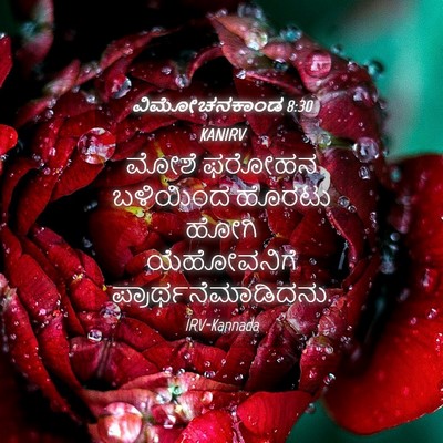 Picture 04 - ವಿಮೋಚನಕಾಂಡ 8:30 KANIRV - ಮೋಶೆ ಫರೋಹನ - Bible Verse Picture