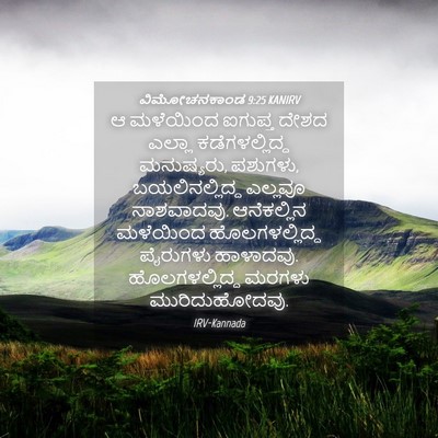 Picture 04 - ವಿಮೋಚನಕಾಂಡ 9:25 KANIRV - ಆ ಮಳೆಯಿಂದ ಐಗುಪ್ತ - Bible Verse Picture