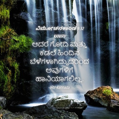 Picture 04 - ವಿಮೋಚನಕಾಂಡ 9:32 KANIRV - ಆದರೆ ಗೋದಿ ಮತ್ತು - Bible Verse Picture