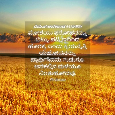 Picture 04 - ವಿಮೋಚನಕಾಂಡ 9:33 KANIRV - ಮೋಶೆಯು ಫರೋಹನನ್ನು - Bible Verse Picture