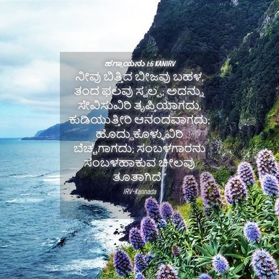 Picture 04 - ಹಗ್ಗಾಯನು 1:6 KANIRV - ನೀವು ಬಿತ್ತಿದ - Bible Verse Picture