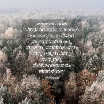 Picture 04 - ಹಗ್ಗಾಯನು 2:5 KANIRV - ‘ನೀವು ಐಗುಪ್ತದಿಂದ - Bible Verse Picture