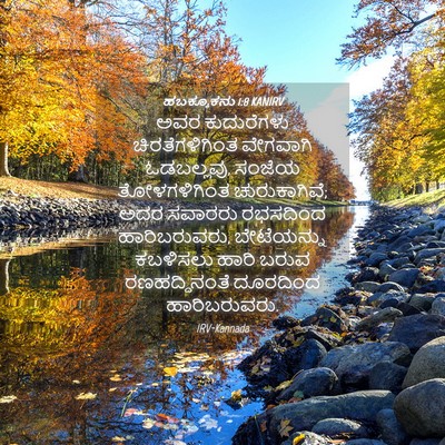 Picture 04 - ಹಬಕ್ಕೂಕನು 1:8 KANIRV - ಅವರ ಕುದುರೆಗಳು - Bible Verse Picture