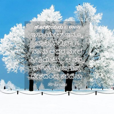 Picture 04 - ಹೋಶೇಯನು 11:1 KANIRV - ಇಸ್ರಾಯೇಲ್ ಇನ್ನೂ - Bible Verse Picture