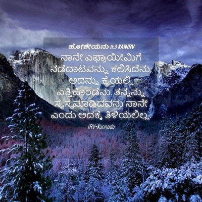 Picture 04 - ಹೋಶೇಯನು 11:3 KANIRV - ನಾನೇ ಎಫ್ರಾಯೀಮಿಗೆ - Bible Verse Picture