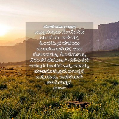 Picture 04 - ಹೋಶೇಯನು 12:1 KANIRV - ಎಫ್ರಾಯೀಮು ಮೇಯಿಸುವ - Bible Verse Picture