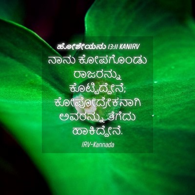 Picture 04 - ಹೋಶೇಯನು 13:11 KANIRV - ನಾನು ಕೋಪಗೊಂಡು - Bible Verse Picture