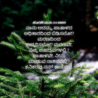 Picture 04 - ಹೋಶೇಯನು 13:14 KANIRV - ನಾನು ಅದನ್ನು - Bible Verse Picture