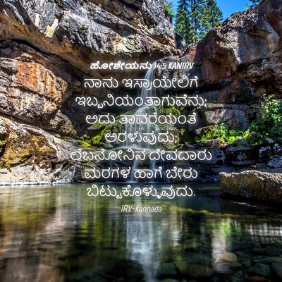Picture 04 - ಹೋಶೇಯನು 14:5 KANIRV - ನಾನು ಇಸ್ರಾಯೇಲಿಗೆ - Bible Verse Picture