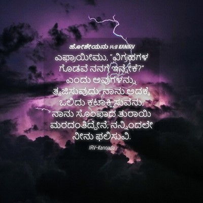 Picture 04 - ಹೋಶೇಯನು 14:8 KANIRV - ಎಫ್ರಾಯೀಮು, - Bible Verse Picture