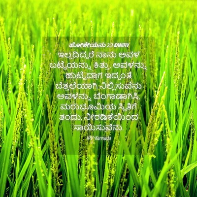 Picture 04 - ಹೋಶೇಯನು 2:3 KANIRV - ಇಲ್ಲದಿದ್ದರೆ ನಾನು - Bible Verse Picture