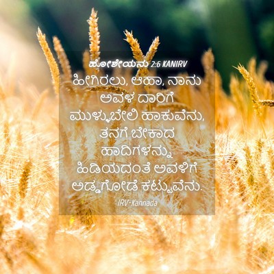 Picture 04 - ಹೋಶೇಯನು 2:6 KANIRV - ಹೀಗಿರಲು, ಆಹಾ, ನಾನು - Bible Verse Picture