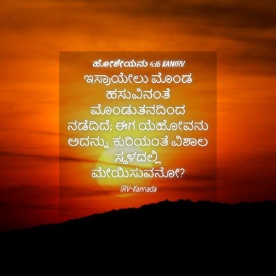 Picture 04 - ಹೋಶೇಯನು 4:16 KANIRV - ಇಸ್ರಾಯೇಲು ಮೊಂಡ - Bible Verse Picture