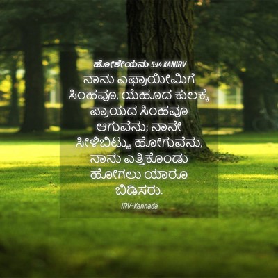 Picture 04 - ಹೋಶೇಯನು 5:14 KANIRV - ನಾನು ಎಫ್ರಾಯೀಮಿಗೆ - Bible Verse Picture