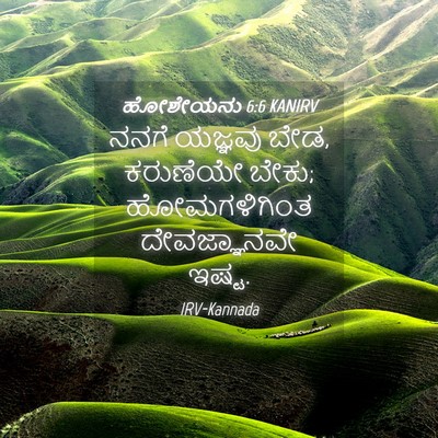 Picture 04 - ಹೋಶೇಯನು 6:6 KANIRV - ನನಗೆ ಯಜ್ಞವು ಬೇಡ, - Bible Verse Picture