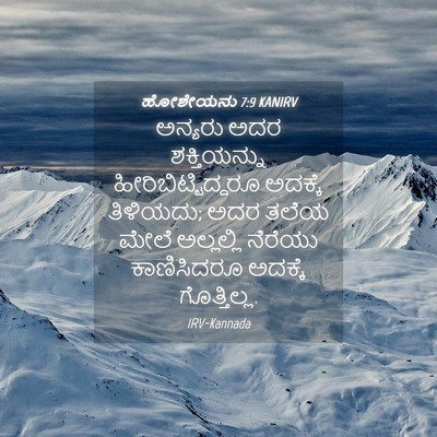 Picture 04 - ಹೋಶೇಯನು 7:9 KANIRV - ಅನ್ಯರು ಅದರ - Bible Verse Picture