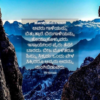Picture 04 - ಹೋಶೇಯನು 8:7 KANIRV - ಅವರು ಗಾಳಿಯನ್ನು - Bible Verse Picture