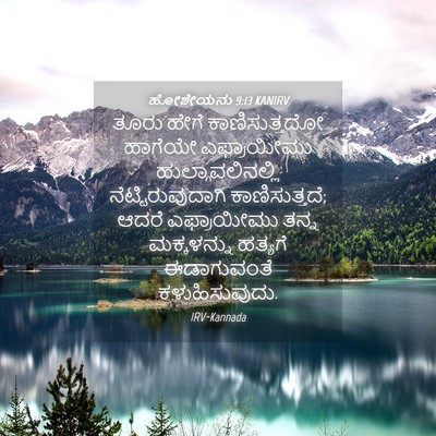 Picture 04 - ಹೋಶೇಯನು 9:13 KANIRV - ತೂರು ಹೇಗೆ - Bible Verse Picture