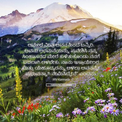 Picture 05 - 1 ಅರಸುಗಳು 1:35 KANIRV - ಆಮೇಲೆ ನೀವು ಅವನ - Bible Verse Picture