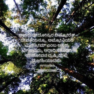 Picture 05 - 1 ಅರಸುಗಳು 11:5 KANIRV - ಅವನು ಚೀದೋನ್ಯರ - Bible Verse Picture