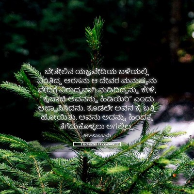 Picture 05 - 1 ಅರಸುಗಳು 13:4 KANIRV - ಬೇತೇಲಿನ ಯಜ್ಞವೇದಿಯ - Bible Verse Picture