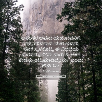 Picture 05 - 1 ಅರಸುಗಳು 17:20 KANIRV - ಅನಂತರ ಅವನು - Bible Verse Picture