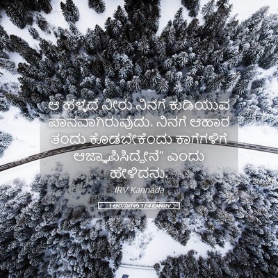 Picture 05 - 1 ಅರಸುಗಳು 17:4 KANIRV - ಆ ಹಳ್ಳದ ನೀರು ನಿನಗೆ - Bible Verse Picture