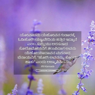 Picture 05 - 1 ಅರಸುಗಳು 2:29 KANIRV - ಯೋವಾಬನು ಯೆಹೋವನ - Bible Verse Picture