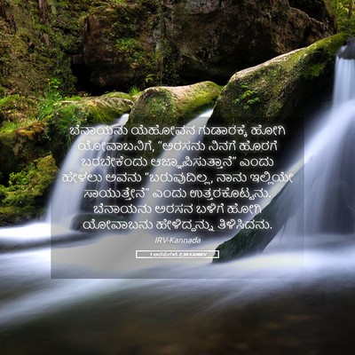 Picture 05 - 1 ಅರಸುಗಳು 2:30 KANIRV - ಬೆನಾಯನು ಯೆಹೋವನ - Bible Verse Picture