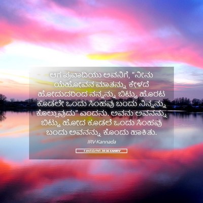 Picture 05 - 1 ಅರಸುಗಳು 20:36 KANIRV - ಆಗ ಪ್ರವಾದಿಯು - Bible Verse Picture