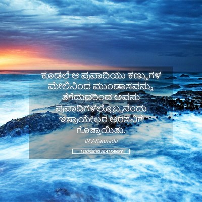 Picture 05 - 1 ಅರಸುಗಳು 20:41 KANIRV - ಕೂಡಲೆ ಆ ಪ್ರವಾದಿಯು - Bible Verse Picture