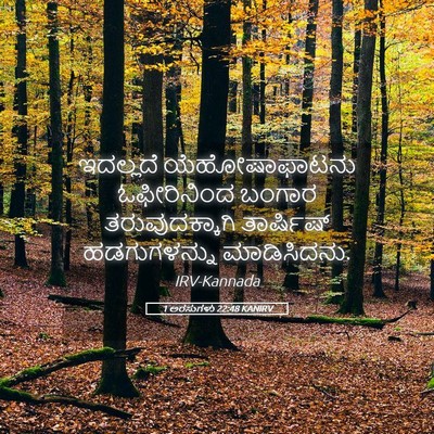Picture 05 - 1 ಅರಸುಗಳು 22:48 KANIRV - ಇದಲ್ಲದೆ - Bible Verse Picture