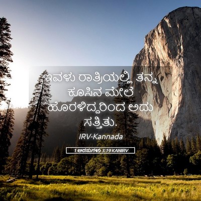 Picture 05 - 1 ಅರಸುಗಳು 3:19 KANIRV - ಇವಳು ರಾತ್ರಿಯಲ್ಲಿ - Bible Verse Picture