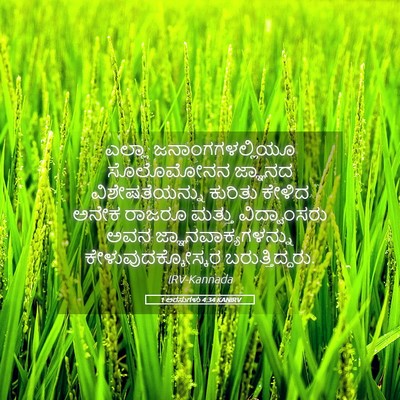 Picture 05 - 1 ಅರಸುಗಳು 4:34 KANIRV - ಎಲ್ಲಾ - Bible Verse Picture