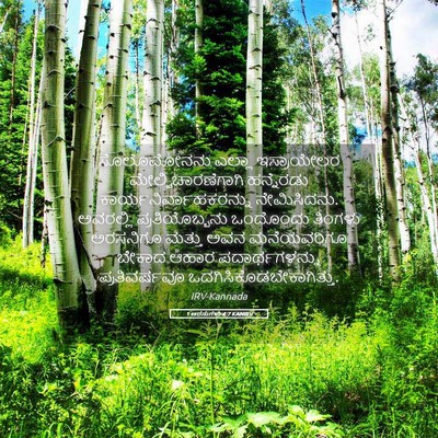 Picture 05 - 1 ಅರಸುಗಳು 4:7 KANIRV - ಸೊಲೊಮೋನನು ಎಲ್ಲಾ - Bible Verse Picture