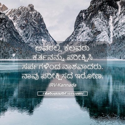 Picture 05 - 1 ಕೊರಿಂಥದವರಿಗೆ 10:9 KANIRV - ಅವರಲ್ಲಿ ಕೆಲವರು - Bible Verse Picture