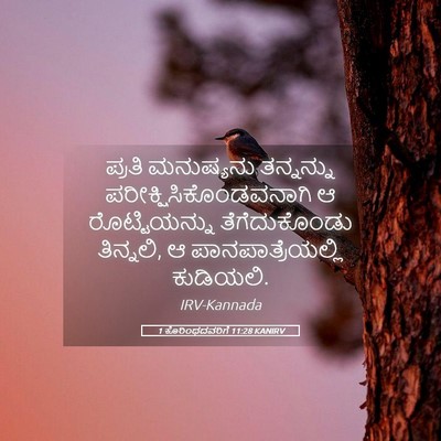 Picture 05 - 1 ಕೊರಿಂಥದವರಿಗೆ 11:28 KANIRV - ಪ್ರತಿ ಮನುಷ್ಯನು - Bible Verse Picture
