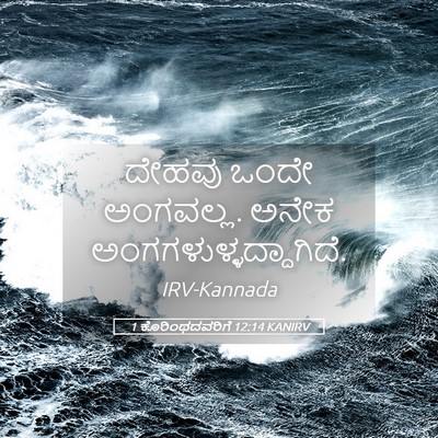 Picture 05 - 1 ಕೊರಿಂಥದವರಿಗೆ 12:14 KANIRV - ದೇಹವು ಒಂದೇ - Bible Verse Picture