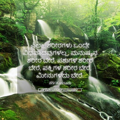 Picture 05 - 1 ಕೊರಿಂಥದವರಿಗೆ 15:39 KANIRV - ಎಲ್ಲಾ ಶರೀರಗಳು - Bible Verse Picture