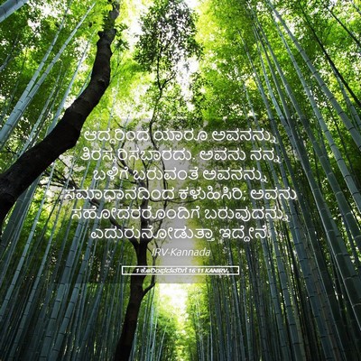 Picture 05 - 1 ಕೊರಿಂಥದವರಿಗೆ 16:11 KANIRV - ಆದ್ದರಿಂದ ಯಾರೂ - Bible Verse Picture