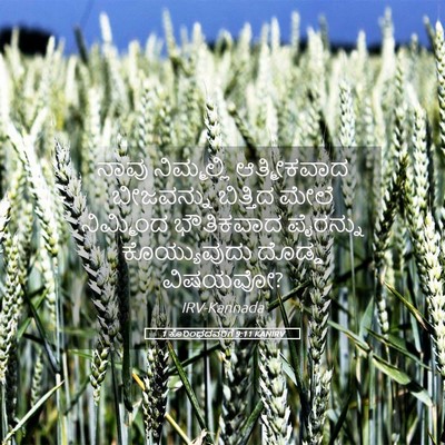 Picture 05 - 1 ಕೊರಿಂಥದವರಿಗೆ 9:11 KANIRV - ನಾವು ನಿಮ್ಮಲ್ಲಿ - Bible Verse Picture