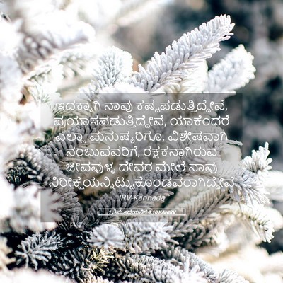 Picture 05 - 1 ತಿಮೊಥೆಯನಿಗೆ 4:10 KANIRV - ಇದಕ್ಕಾಗಿ ನಾವು - Bible Verse Picture