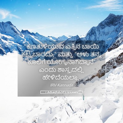 Picture 05 - 1 ತಿಮೊಥೆಯನಿಗೆ 5:18 KANIRV - “ಕಣತುಳಿಯುವ ಎತ್ತಿನ - Bible Verse Picture