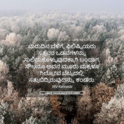 Picture 05 - 1 ಪೂರ್ವಕಾಲವೃತ್ತಾಂತ 10:8 KANIRV - ಮರುದಿನ ಬೆಳಿಗ್ಗೆ - Bible Verse Picture