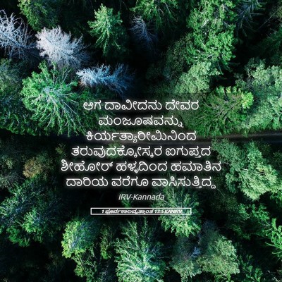 Picture 05 - 1 ಪೂರ್ವಕಾಲವೃತ್ತಾಂತ 13:5 KANIRV - ಆಗ ದಾವೀದನು ದೇವರ - Bible Verse Picture