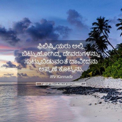 Picture 05 - 1 ಪೂರ್ವಕಾಲವೃತ್ತಾಂತ 14:12 KANIRV - ಫಿಲಿಷ್ಟಿಯರು ಅಲ್ಲಿ - Bible Verse Picture