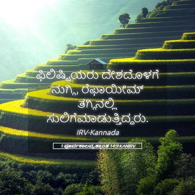 Picture 05 - 1 ಪೂರ್ವಕಾಲವೃತ್ತಾಂತ 14:9 KANIRV - ಫಿಲಿಷ್ಟಿಯರು - Bible Verse Picture
