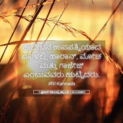 Picture 05 - 1 ಪೂರ್ವಕಾಲವೃತ್ತಾಂತ 2:46 KANIRV - ಕಾಲೇಬನ ಉಪಪತ್ನಿಯಾದ - Bible Verse Picture