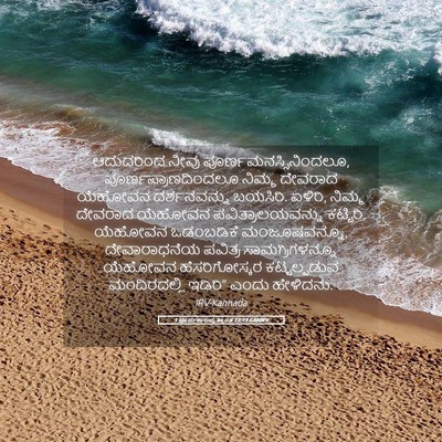 Picture 05 - 1 ಪೂರ್ವಕಾಲವೃತ್ತಾಂತ 22:19 KANIRV - ಆದುದರಿಂದ ನೀವು - Bible Verse Picture